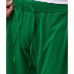 Hot Castore Adults Ireland Away Shorts Green
