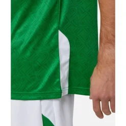Fashion Castore Adults Ireland Home Jersey Green