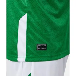 Fashion Castore Adults Ireland Home Jersey Green