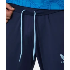 Best Castore Adults Leinster Rise Pro Training Pant Navy