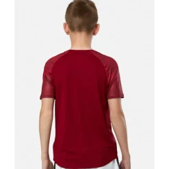 Best Canterbury Kids British And Irish Lions T-Shirt Red