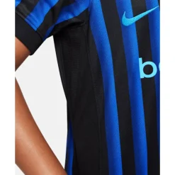 Sale Nike Kids Inter Milan Home Jersey Blue