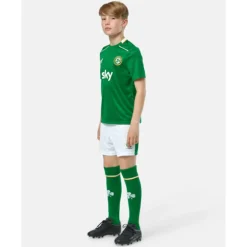 Online Castore Kids Ireland Home Jersey Green