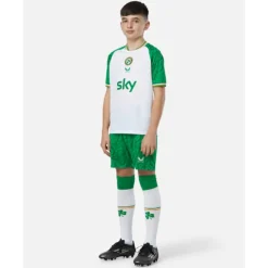 Outlet Castore Kids Ireland Third Shorts Green