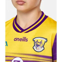 Outlet O'Neills Kids Wexford Home Jersey Purple
