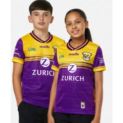 Outlet O'Neills Kids Wexford Home Jersey Purple