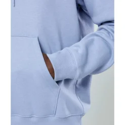 Best New Balance Mens Essential Fleece Hoodie Blue