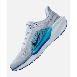 Hot Nike Mens Pegasus 41 Blue