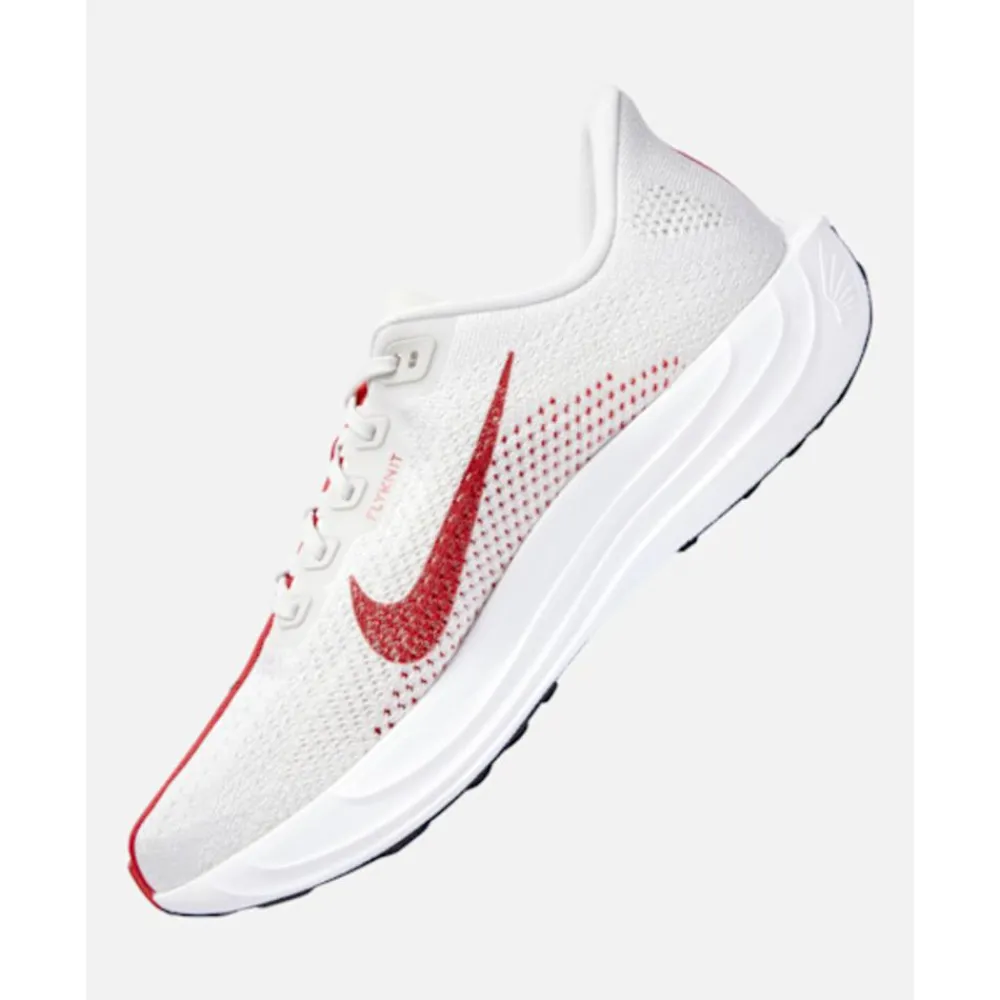 Outlet Nike Mens Pegasus Plus Grey