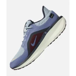 Best Nike Mens Winflo Goretex Blue