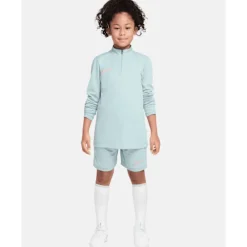 Best Nike Older Kids Academy Shorts Grey
