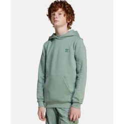 Online adidas Originals Older Kids Trefoil Hoodie Green