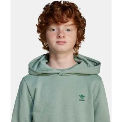 Online adidas Originals Older Kids Trefoil Hoodie Green