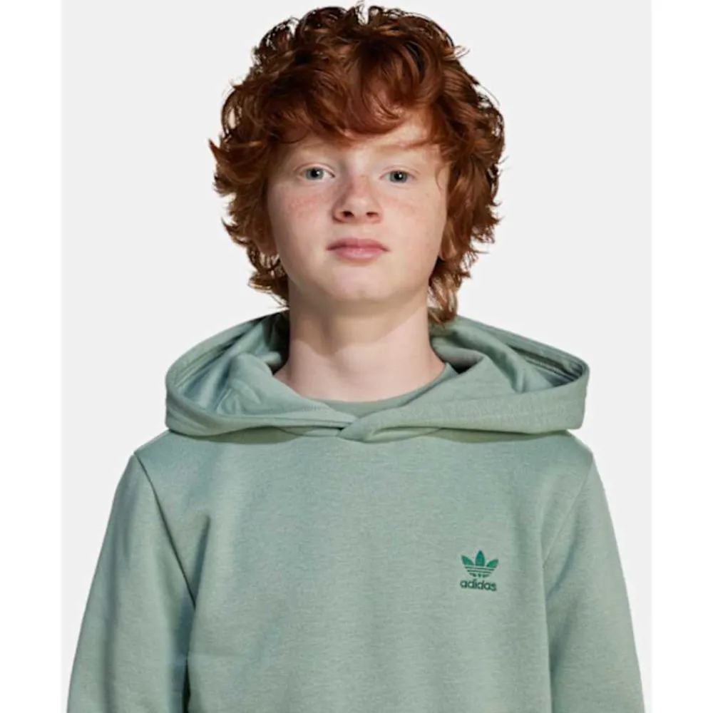 Online adidas Originals Older Kids Trefoil Hoodie Green
